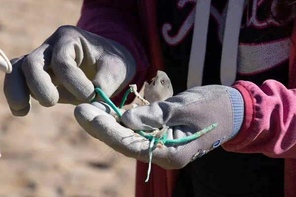 Manos Voluntarias Recogiendo Plásticos Una Limpieza Playa —  Fotos de Stock