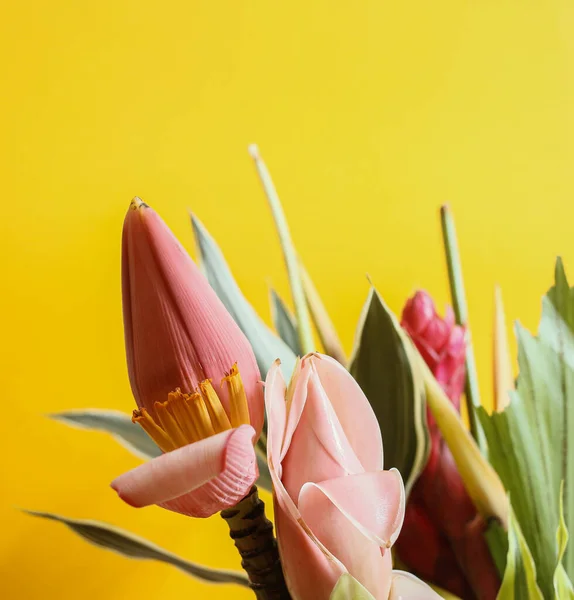 黄色い背景色の熱帯色の花 — ストック写真