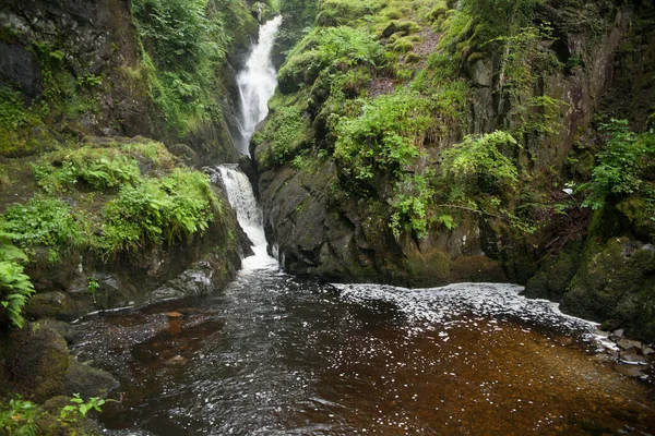 Grande Cascade Avec Bassin Profond Travers Forêt Dans District Lac — Photo