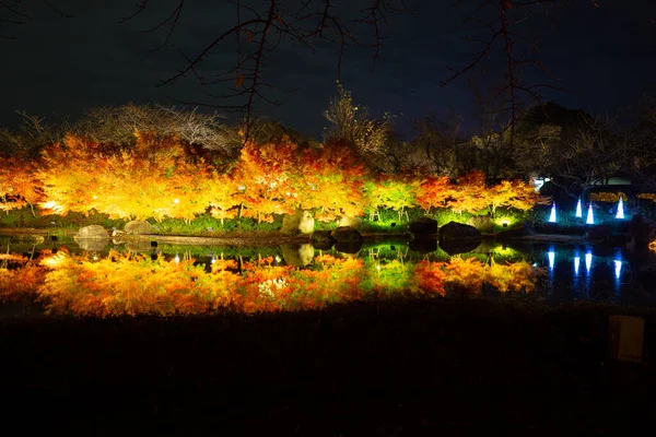 Nabana Sato Een Botanische Tuin Themapark Kuwana City Beschikt Meest — Stockfoto