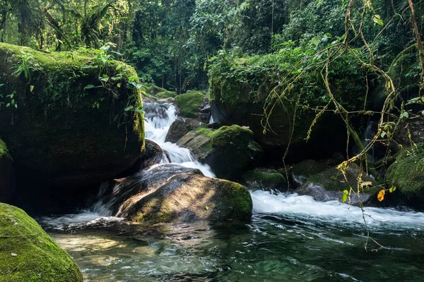 Hermosa Vista Verde Cascada Del Río Bosque Lluvioso Atlántico Las — Foto de Stock