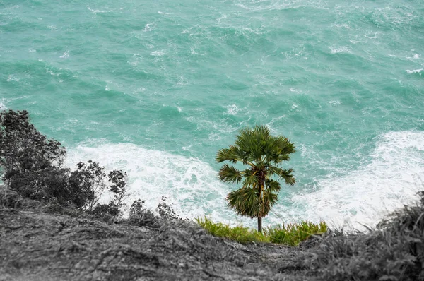 Phromthep Pelerini Phuket Günbatımı Için Ünlü Bir Manzara Yerel Sakinler — Stok fotoğraf