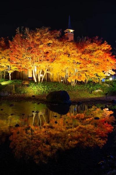纳巴纳诺萨托植物园 Nabana Sato 是库瓦纳市的一个植物园 主题公园 拥有最吸引人和规模最大的冬季照明活动 整个公园都有明亮的灯光装置 — 图库照片