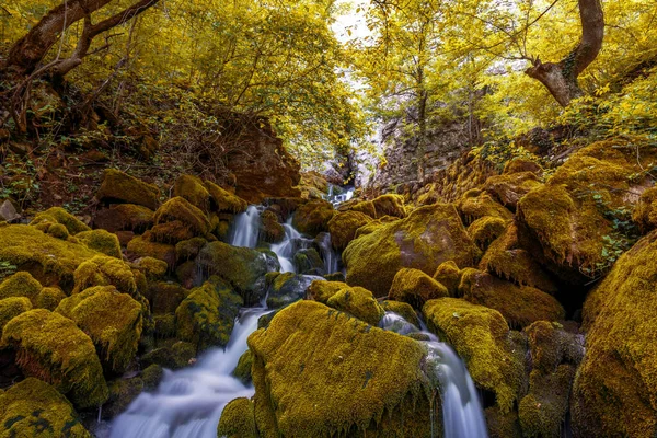 Vodopád Barevná Krajina Krásným Vodopádem Horské Řece Lese — Stock fotografie