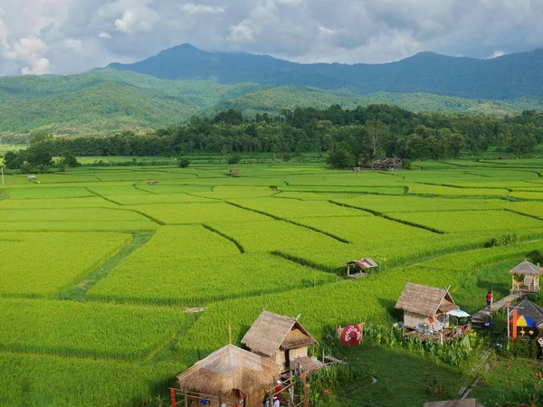 Bamboo Huts Gree Paddy Fields Moutains —  Fotos de Stock