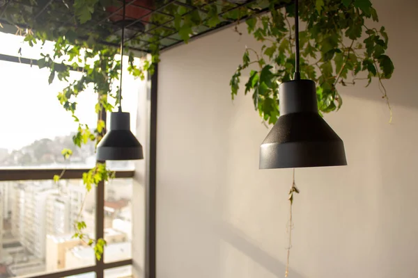 Lâmpadas Penduradas Teto Com Plantas Decorando Sala Perto Uma Janela — Fotografia de Stock