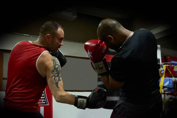 Parla Madrid Spain February 2020 Determined Male Boxers Practicing Health — Stock Photo, Image