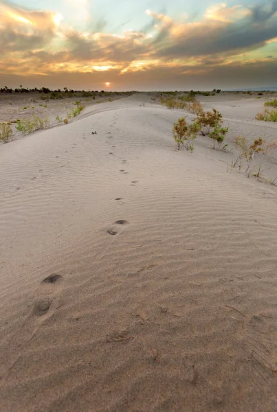 Zonsondergang Aan Poorten Van Sahara Woestijn Hamid Ghizlane Marokko — Stockfoto