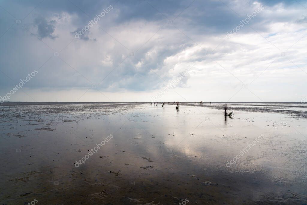 Calm and tranquil seascape at the beach at low tide in  Wadden Sea, Germany