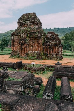 Antik kalıntılar (UNESCO), Vietnam 'dan Hindu tapınakları