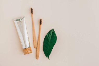 Bambu doğal diş fırçaları, diş macunu ve soluk arkaplanda taze yapraklar. Sıfır atık ve plastiksiz konsept. Sürdürülebilir yaşam tarzı kavramı.