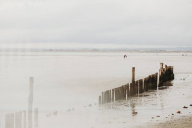 Groyne İngiltere 'de soğuk kış plajlarında yığılıyor.