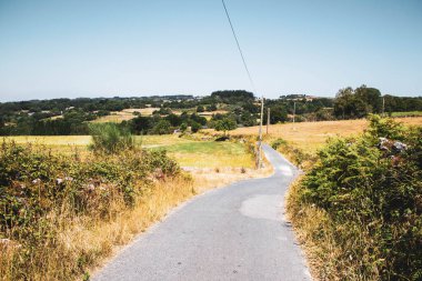 Mavi gökyüzüne karşı bitki örtüsüyle çevrili yol