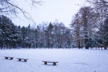 Hokkaido Tapınağı 1869 'da inşa edildi, üç tarafı dağlarla çevrili, Hokkaido vatandaşlarının yaşamlarında önemli bir rol oynuyor. Ziyaretçilerin yabani sincapları görme olasılığının yüksek olduğu doğa zengini türbe, ilkbaharda kiraz ve 