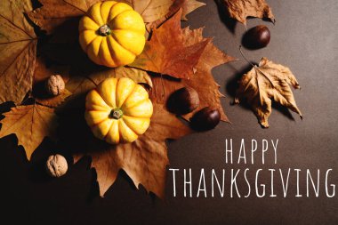 Balkabağı ve akçaağaç yapraklı Şükran Günün kutlu olsun.