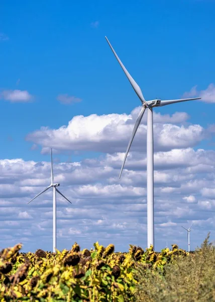 Parutino Ukraine 2019 Wind Generators Sunflower Field Cloudy Sky Ancient — Stock Photo, Image