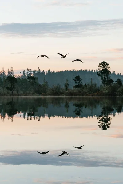 秋の湖の景色 — ストック写真