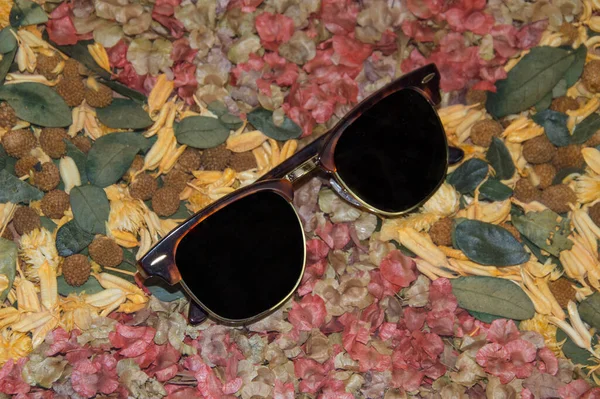 Sunglasses Background Dried Flowers — Stock Photo, Image
