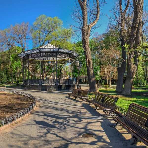 Odessa Ucraina 2020 Alberi Fiore Primaverili Nel Giardino Cittadino Odessa — Foto Stock