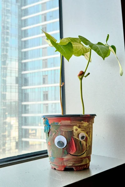 Potplanten Een Vensterbank Een Stedelijk Appartement Met Een Kindertekening Pot — Stockfoto