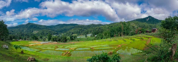 Panorama View Rice Terraces Small Village Mountains — Stock Fotó