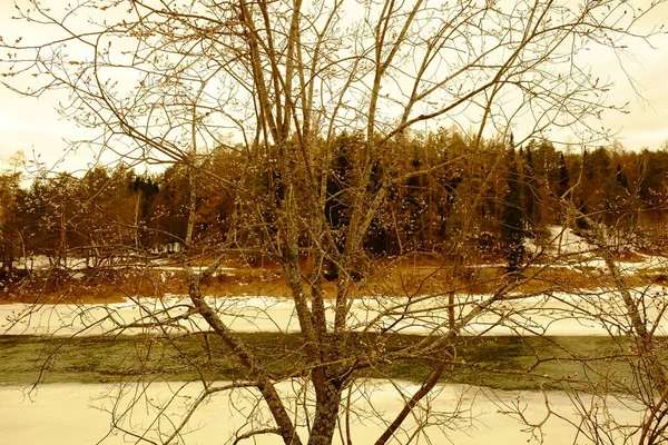 Vinter Ural Landskap Skogshorisonter — Stockfoto