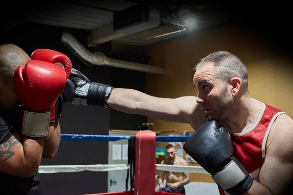 Determined Male Boxers Practicing Health Club Ring — Stock Photo, Image