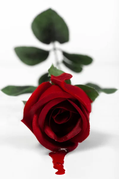 Imagen Conceptual Que Representa Amor Falso Mostrando Una Rosa Falsa — Foto de Stock