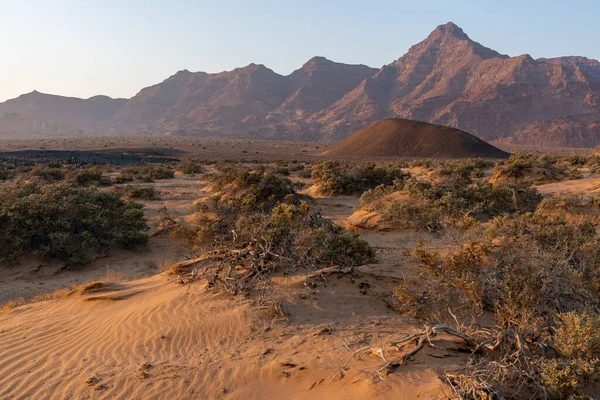 Paysage Namibien Aride Lever Soleil — Photo