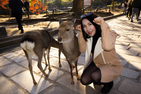 Jovem Mulher Asiática Posando Com Veados Nara Park Japão — Fotografia de Stock