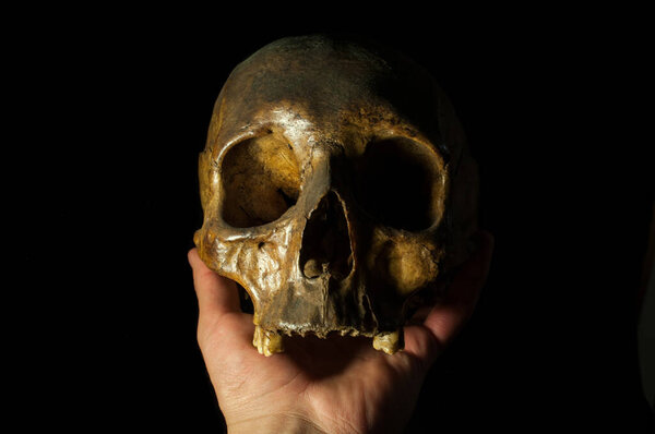 Human skull on black background