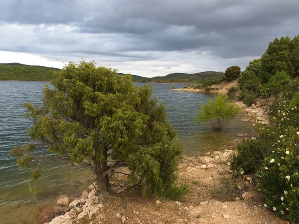 Озеро Горами Горизонте Растительностью Облачным Небом Угрожающим Штормом Альтазаре Мадриде — стоковое фото