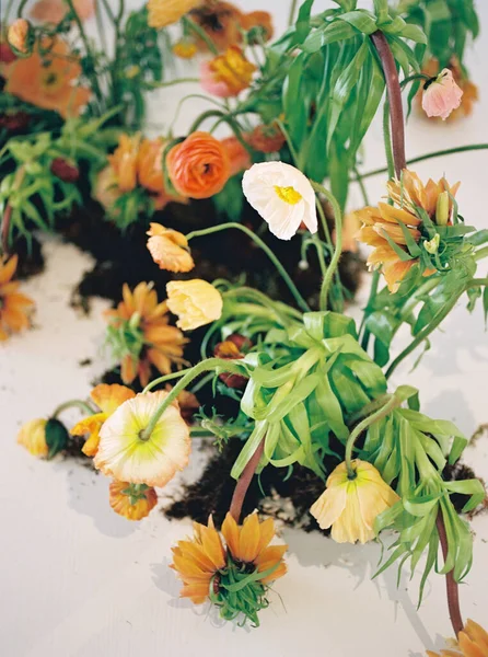 Florales Creciendo Suciedad Interior Para Editorial —  Fotos de Stock