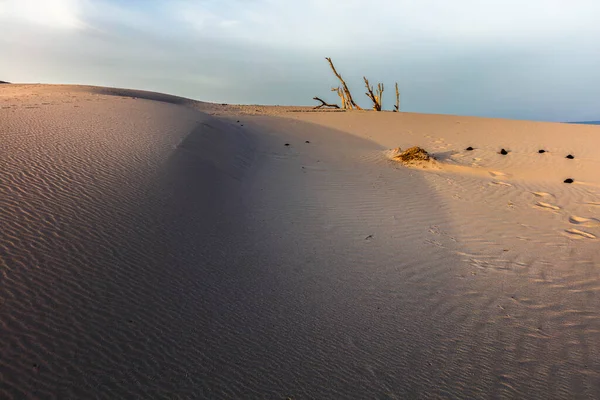 Dunes Sable Blanc Sardaigne — Photo