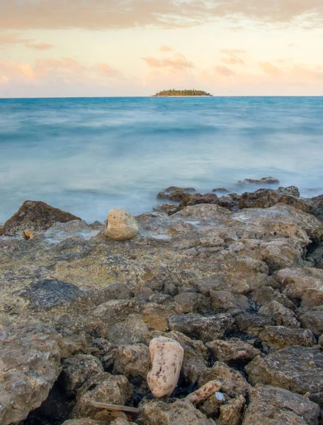 카리브해의 — 스톡 사진