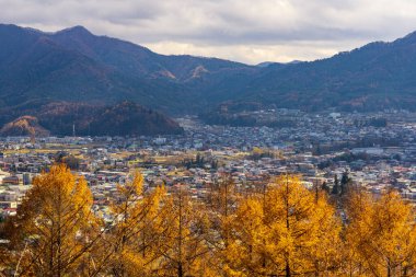 Fuji Dağı, Fujiyama ya da Fujisan olarak da bilinir, Japonya 'nın en yüksek dağı aktif bir volkandır. Doğal ihtişamı takdir etmek için bir sürü manzarayla çevrili bir alanı yönetiyor. Buraya ne kadar sık gelirsen gel her zaman bir şeyler oluyor.