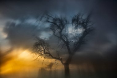 William Turner 'ın tablolarından esinlenilmiş manzara. Arka ışıklandırmalı kuru ağaç. Sierra de Guadarrama. Madrid mi? İspanya