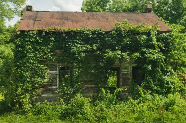 Pennsylvania 'nın ortasındaki Kırsal Çiftlik Sahnesi