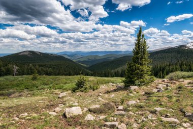 Doğa manzarası manzarası