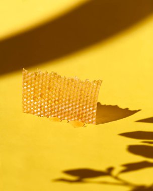 Balmumu sıva ve bal damlaları Sarı arka planda hayat devam ediyor