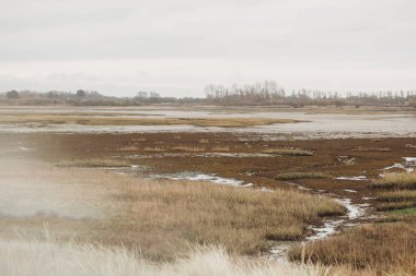 Bulutlu kış gününde tuzlu püre manzarası