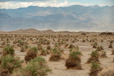 Ölüm Vadisi Ulusal Parkı 'nın Büyük Çöl ve Düzeni