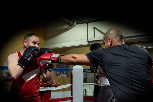 Boxeadores Masculinos Decididos Entrenando Club Salud Ring —  Fotos de Stock