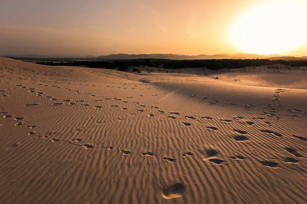 サルデーニャ島に白い砂丘 — ストック写真