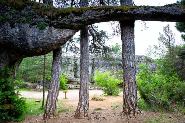 Afloramientos Piedra Caliza Erosionada Ciudad Encantada Ciudad Encantada Parque Serranía — Foto de Stock