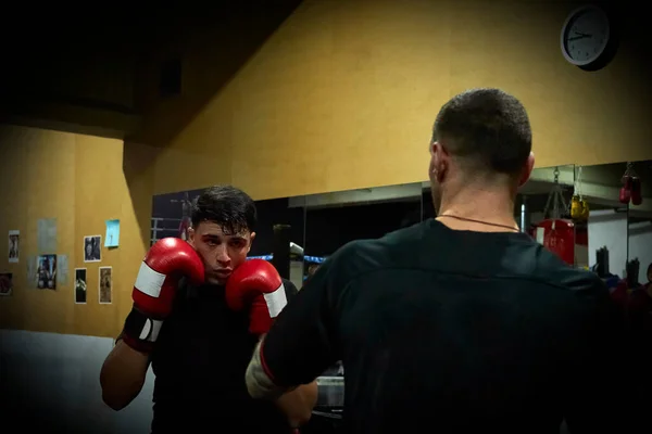 Boxeadores Masculinos Determinados Que Practican Club Salud —  Fotos de Stock