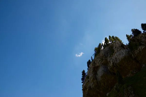 Canfranc Vadisi Pireneler Huesca Bölgesi Aragon Spanya — Stok fotoğraf