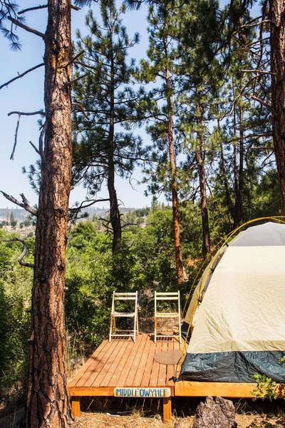 Glamping Tent Two Chairs Tall Pines Wilderness — Stock Photo, Image