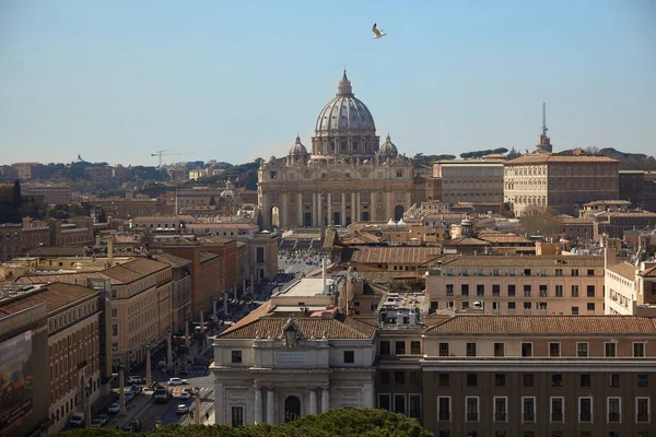 Bird Flying Peter Basilica — 스톡 사진