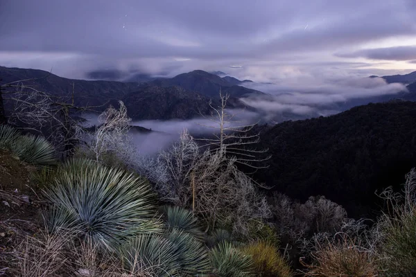 Los Angeles Yukarısındaki Wilson Dağı Nın Görüntüsü — Stok fotoğraf